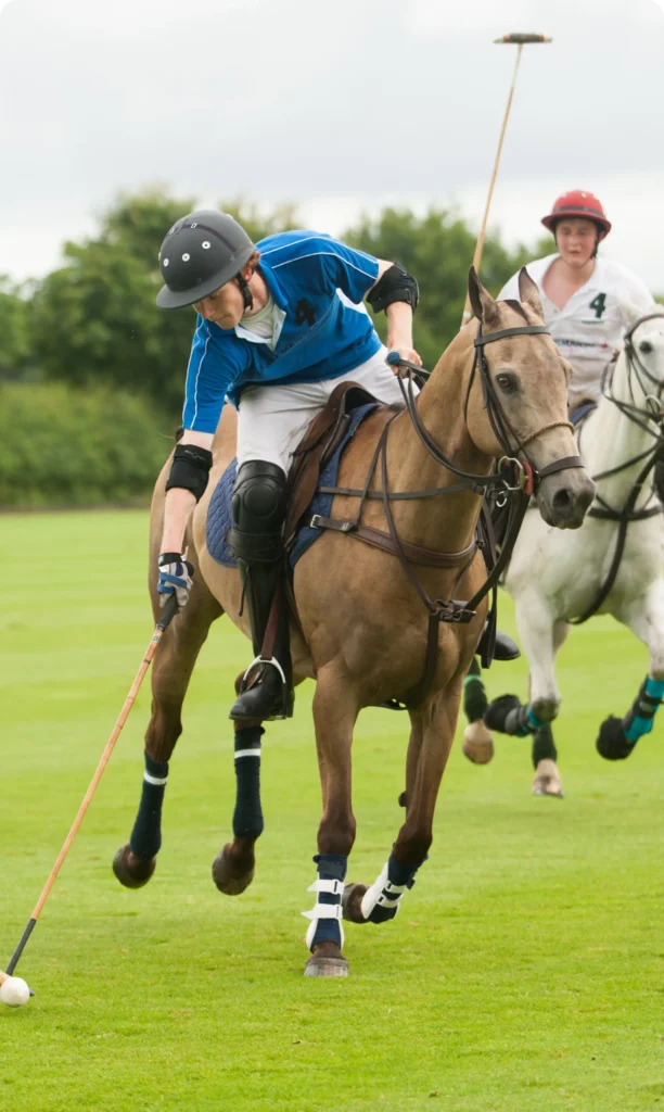 Line Up Polo Cover
