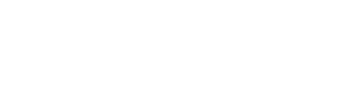 Vortek AI Solutions Logo white